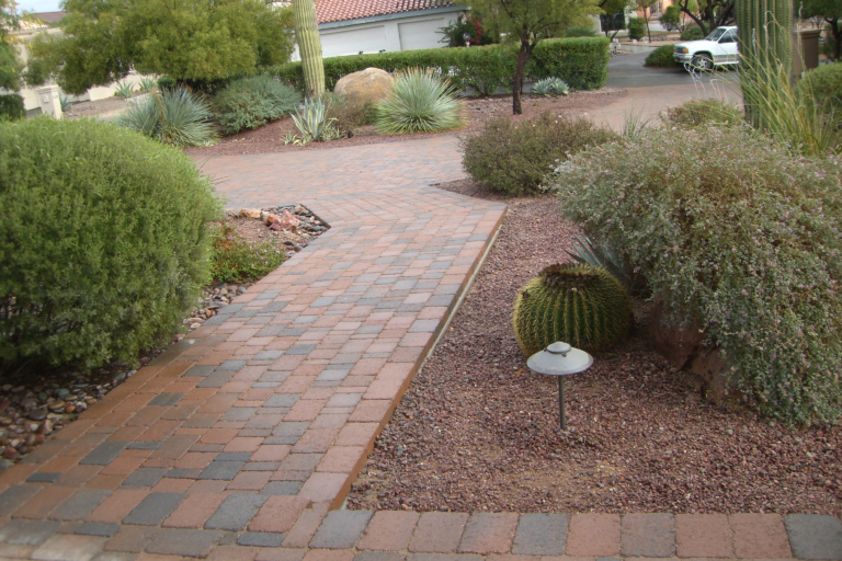 Paver walkway and entry path installation with desert plants in Tucson